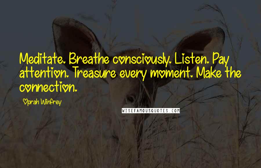 Oprah Winfrey Quotes: Meditate. Breathe consciously. Listen. Pay attention. Treasure every moment. Make the connection.