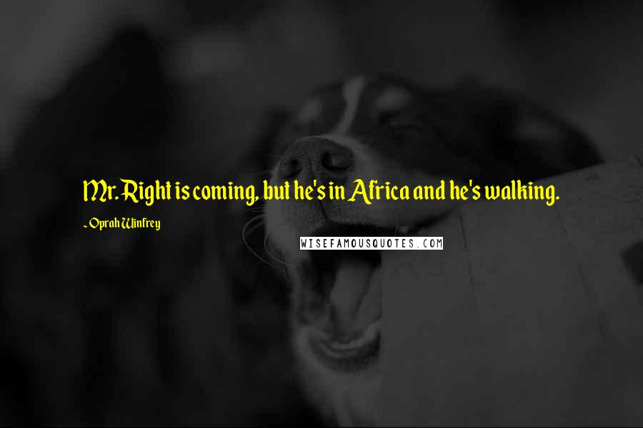 Oprah Winfrey Quotes: Mr. Right is coming, but he's in Africa and he's walking.