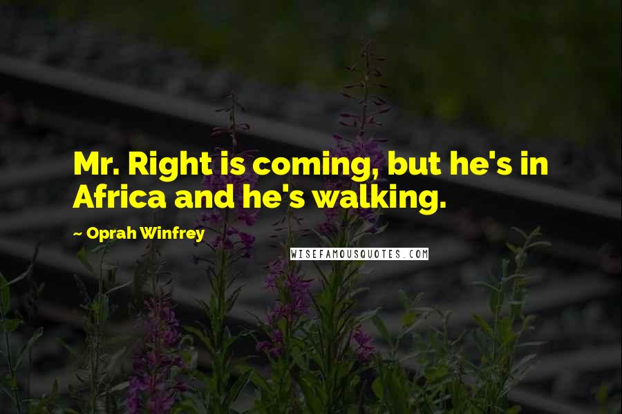 Oprah Winfrey Quotes: Mr. Right is coming, but he's in Africa and he's walking.