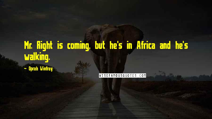 Oprah Winfrey Quotes: Mr. Right is coming, but he's in Africa and he's walking.