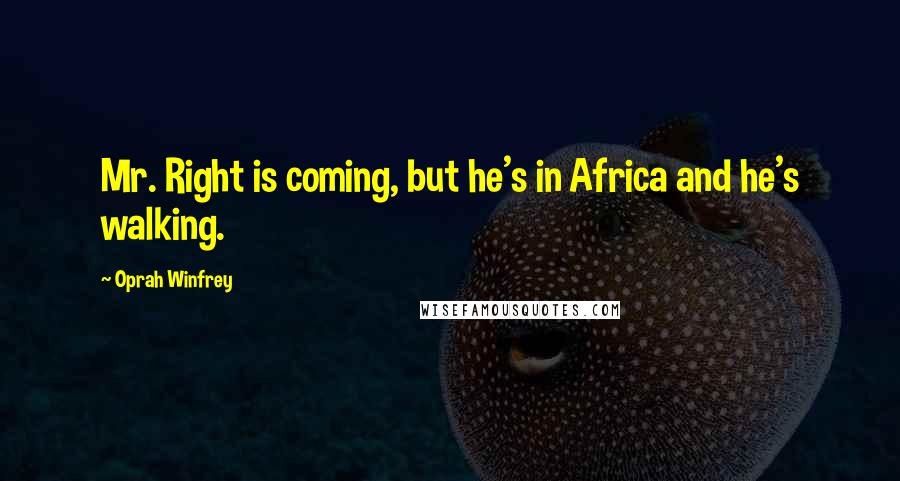 Oprah Winfrey Quotes: Mr. Right is coming, but he's in Africa and he's walking.
