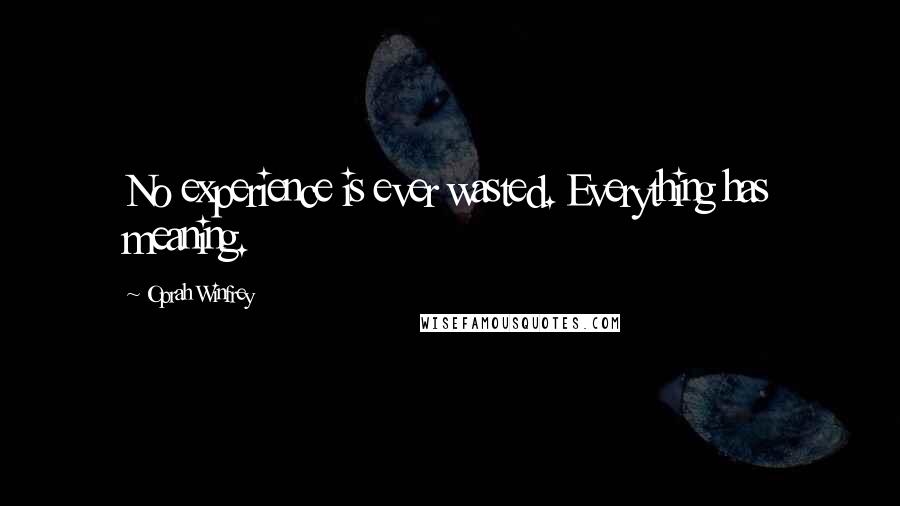 Oprah Winfrey Quotes: No experience is ever wasted. Everything has meaning.