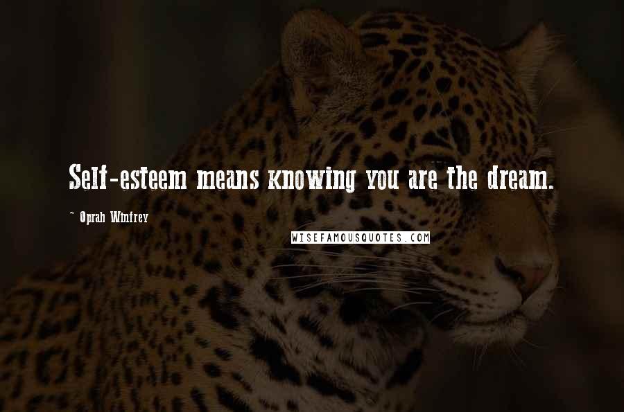 Oprah Winfrey Quotes: Self-esteem means knowing you are the dream.