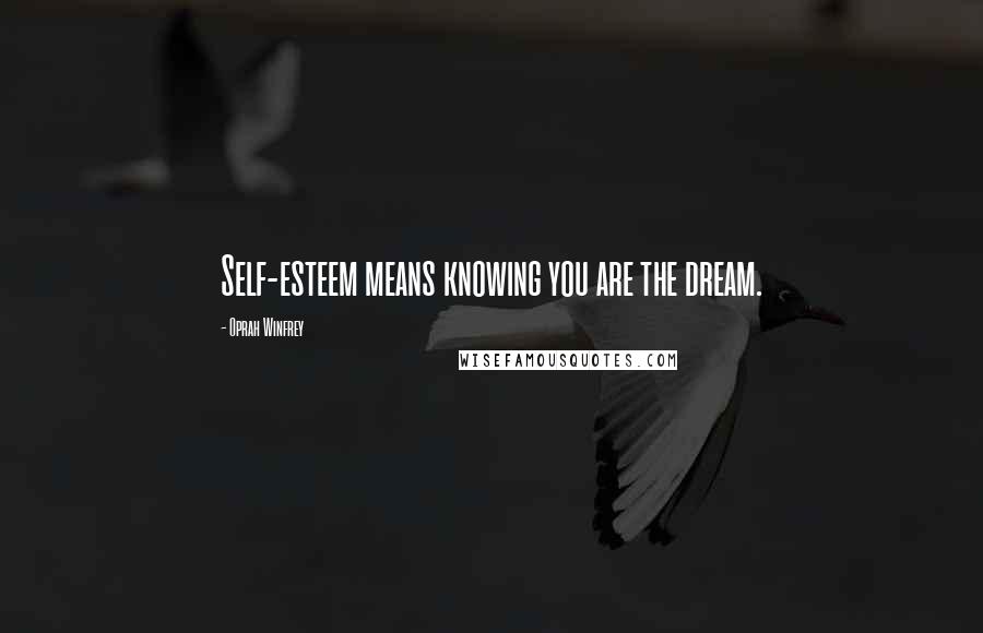 Oprah Winfrey Quotes: Self-esteem means knowing you are the dream.