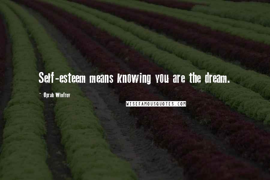 Oprah Winfrey Quotes: Self-esteem means knowing you are the dream.