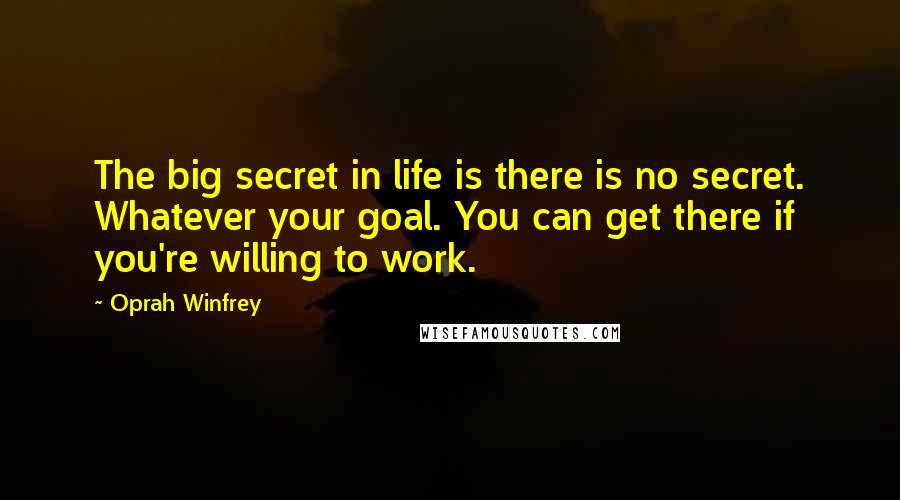Oprah Winfrey Quotes: The big secret in life is there is no secret. Whatever your goal. You can get there if you're willing to work.
