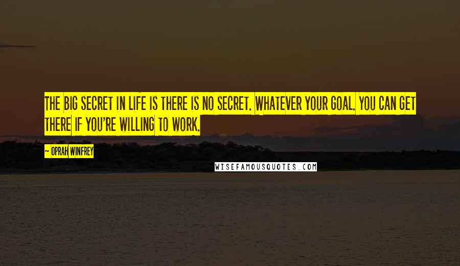 Oprah Winfrey Quotes: The big secret in life is there is no secret. Whatever your goal. You can get there if you're willing to work.