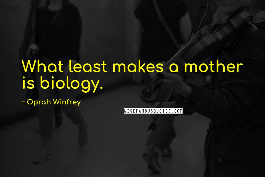 Oprah Winfrey Quotes: What least makes a mother is biology.
