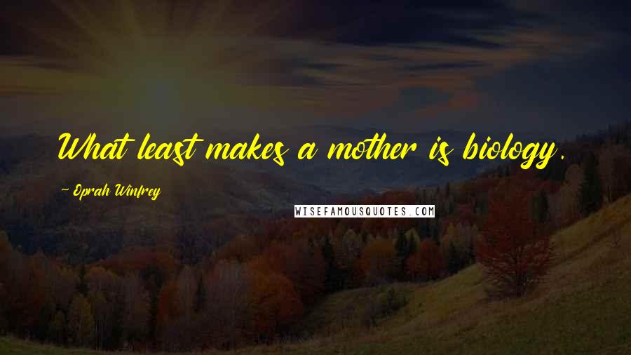 Oprah Winfrey Quotes: What least makes a mother is biology.