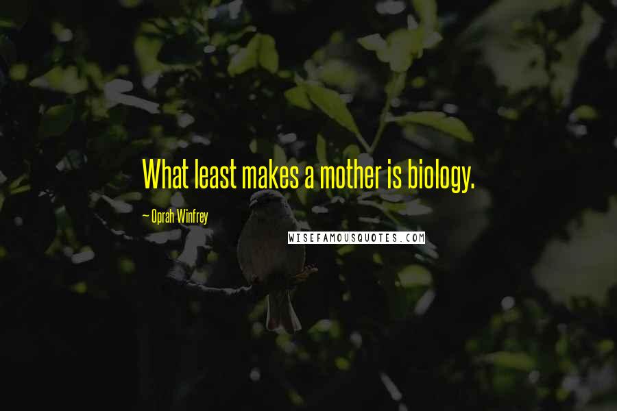 Oprah Winfrey Quotes: What least makes a mother is biology.