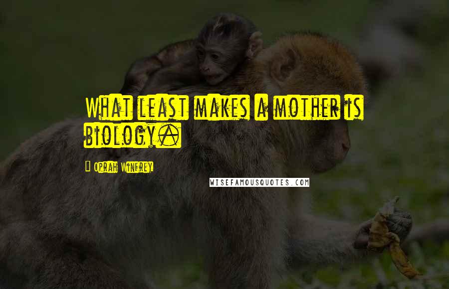 Oprah Winfrey Quotes: What least makes a mother is biology.