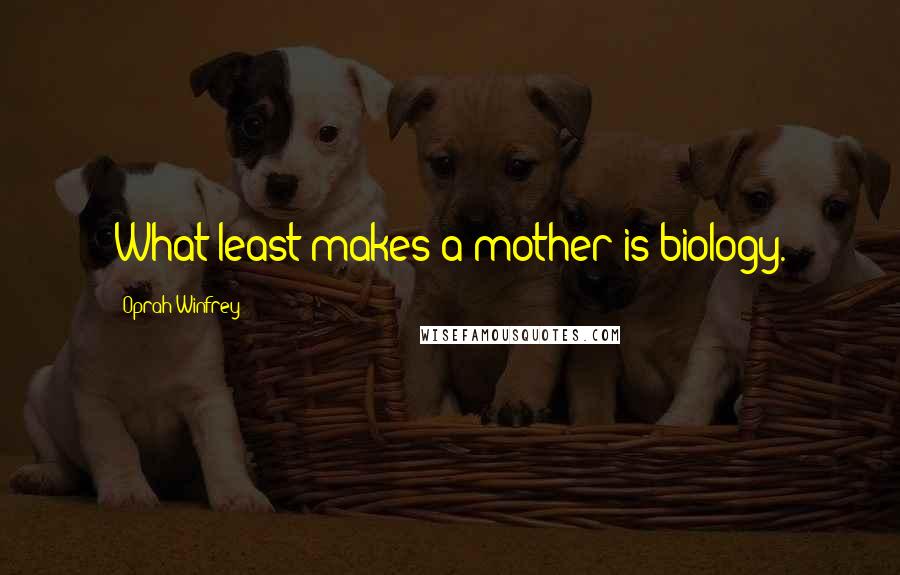 Oprah Winfrey Quotes: What least makes a mother is biology.