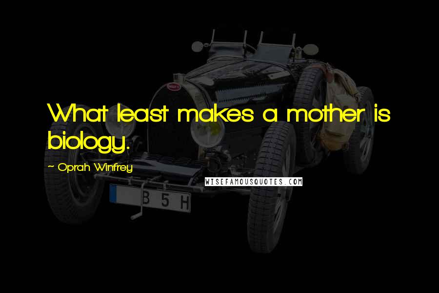 Oprah Winfrey Quotes: What least makes a mother is biology.