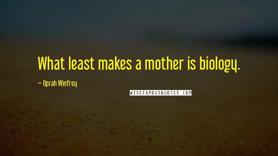 Oprah Winfrey Quotes: What least makes a mother is biology.