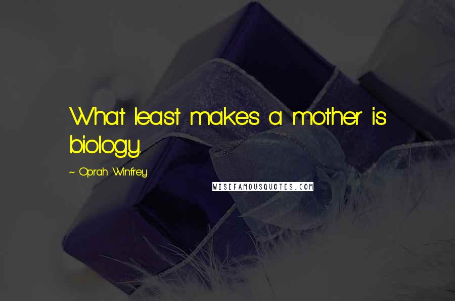 Oprah Winfrey Quotes: What least makes a mother is biology.