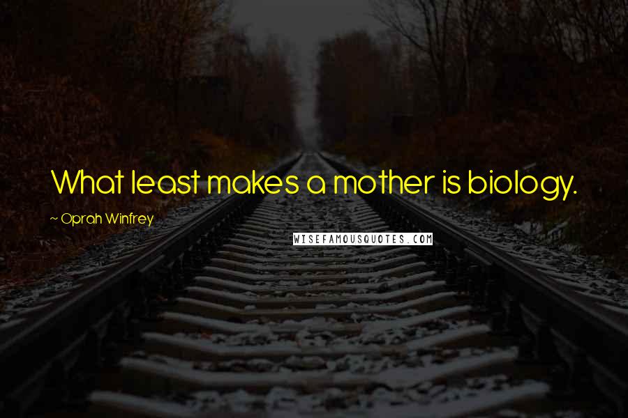 Oprah Winfrey Quotes: What least makes a mother is biology.