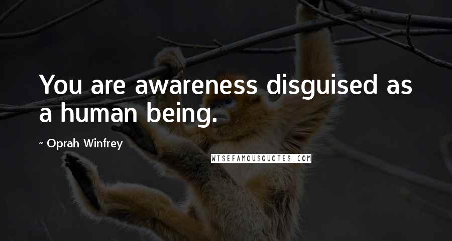 Oprah Winfrey Quotes: You are awareness disguised as a human being.