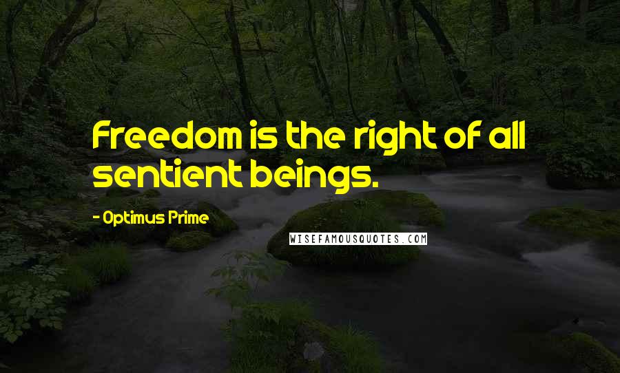 Optimus Prime Quotes: Freedom is the right of all sentient beings.