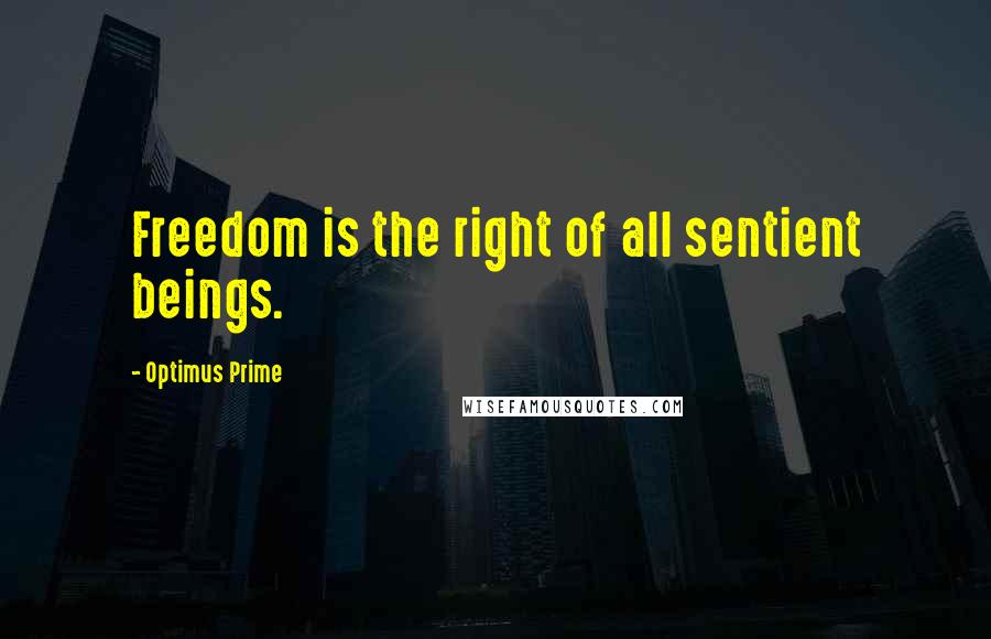 Optimus Prime Quotes: Freedom is the right of all sentient beings.