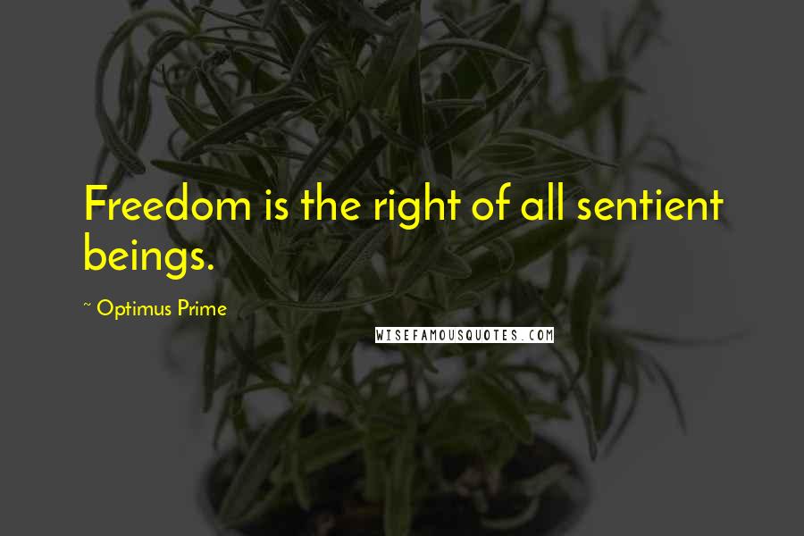 Optimus Prime Quotes: Freedom is the right of all sentient beings.