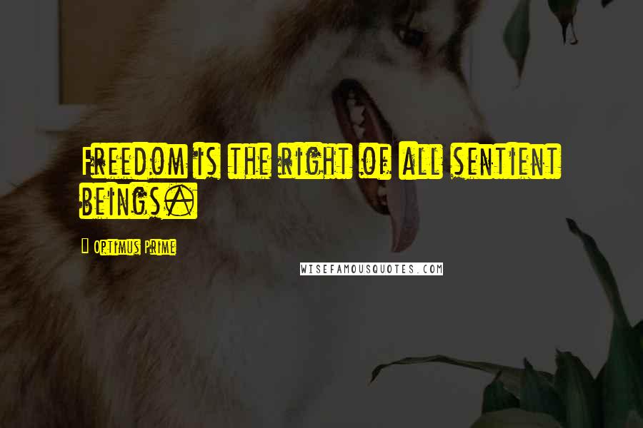 Optimus Prime Quotes: Freedom is the right of all sentient beings.