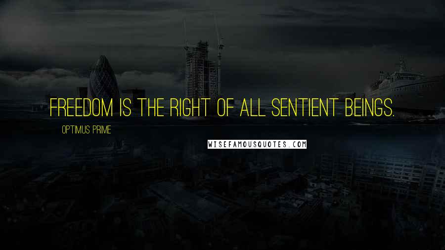 Optimus Prime Quotes: Freedom is the right of all sentient beings.