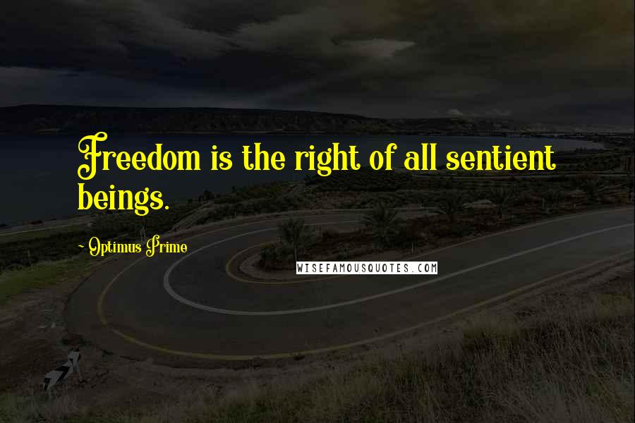 Optimus Prime Quotes: Freedom is the right of all sentient beings.