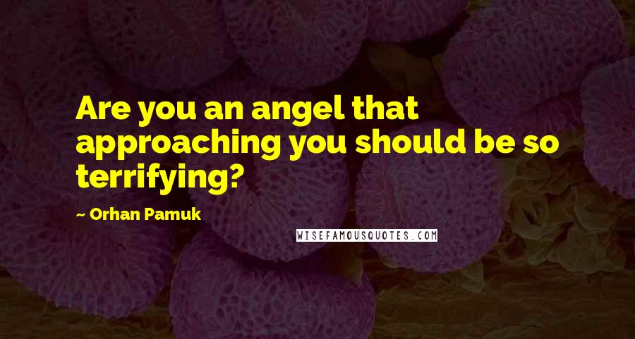 Orhan Pamuk Quotes: Are you an angel that approaching you should be so terrifying?