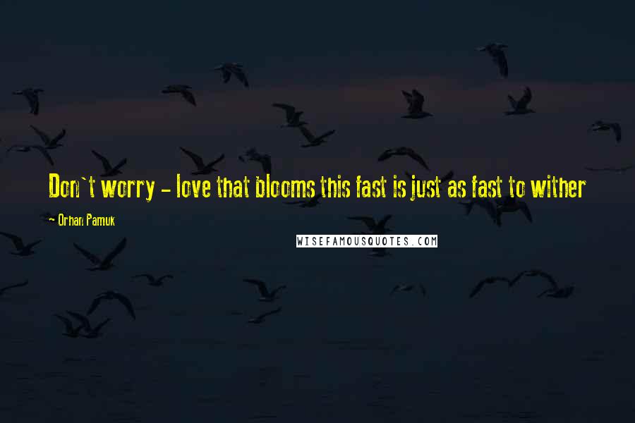 Orhan Pamuk Quotes: Don't worry - love that blooms this fast is just as fast to wither