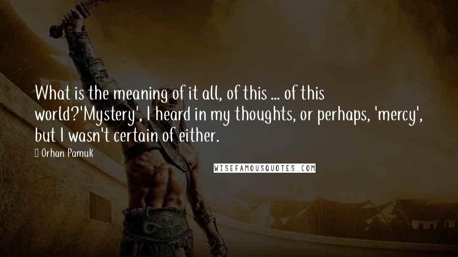 Orhan Pamuk Quotes: What is the meaning of it all, of this ... of this world?'Mystery', I heard in my thoughts, or perhaps, 'mercy', but I wasn't certain of either.