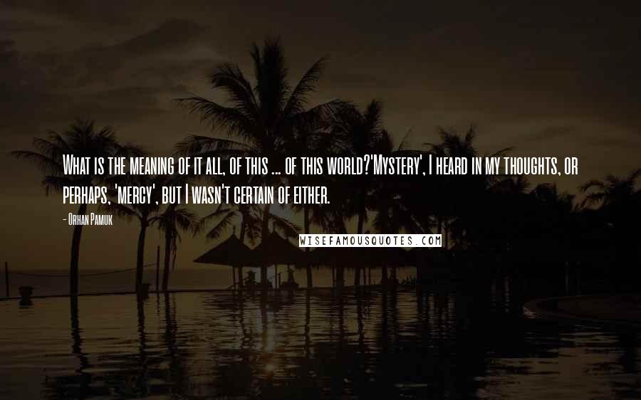 Orhan Pamuk Quotes: What is the meaning of it all, of this ... of this world?'Mystery', I heard in my thoughts, or perhaps, 'mercy', but I wasn't certain of either.