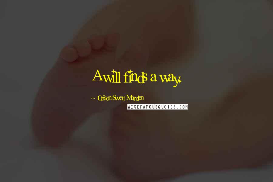 Orison Swett Marden Quotes: A will finds a way.