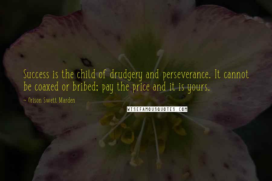 Orison Swett Marden Quotes: Success is the child of drudgery and perseverance. It cannot be coaxed or bribed; pay the price and it is yours.