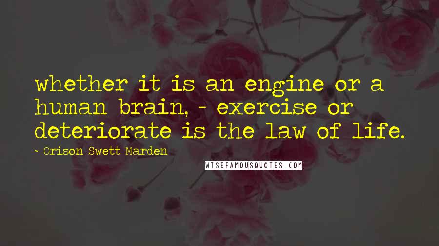 Orison Swett Marden Quotes: whether it is an engine or a human brain, - exercise or deteriorate is the law of life.