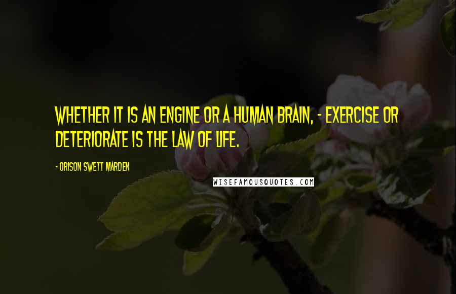 Orison Swett Marden Quotes: whether it is an engine or a human brain, - exercise or deteriorate is the law of life.