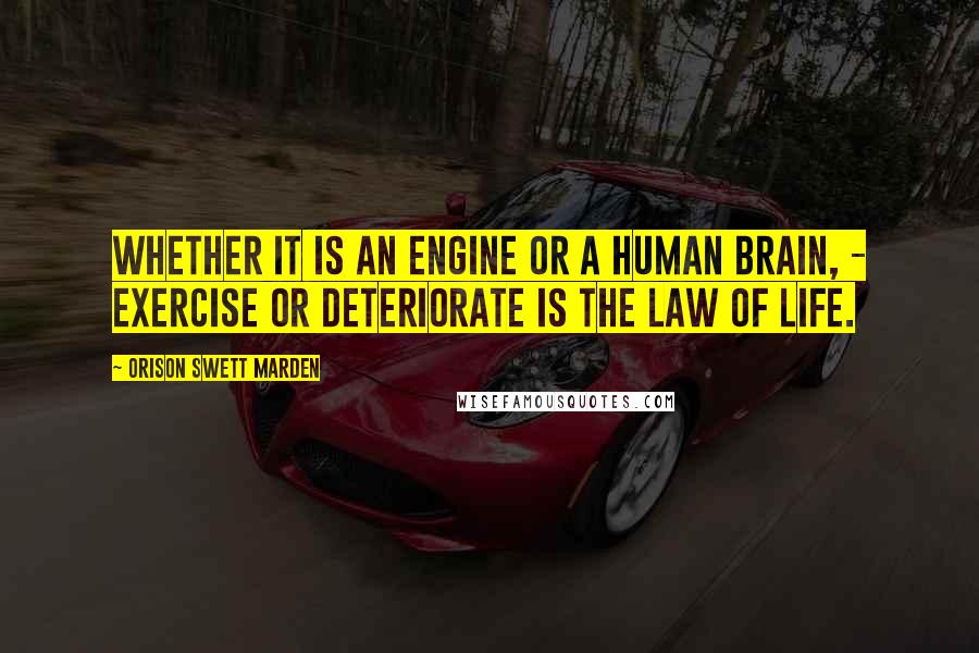 Orison Swett Marden Quotes: whether it is an engine or a human brain, - exercise or deteriorate is the law of life.