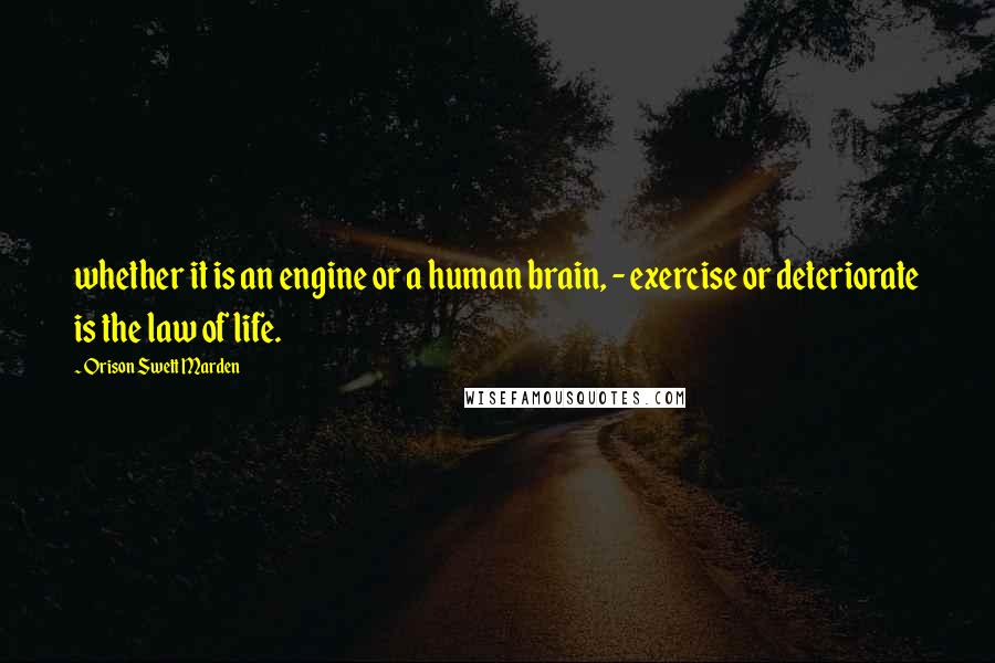Orison Swett Marden Quotes: whether it is an engine or a human brain, - exercise or deteriorate is the law of life.