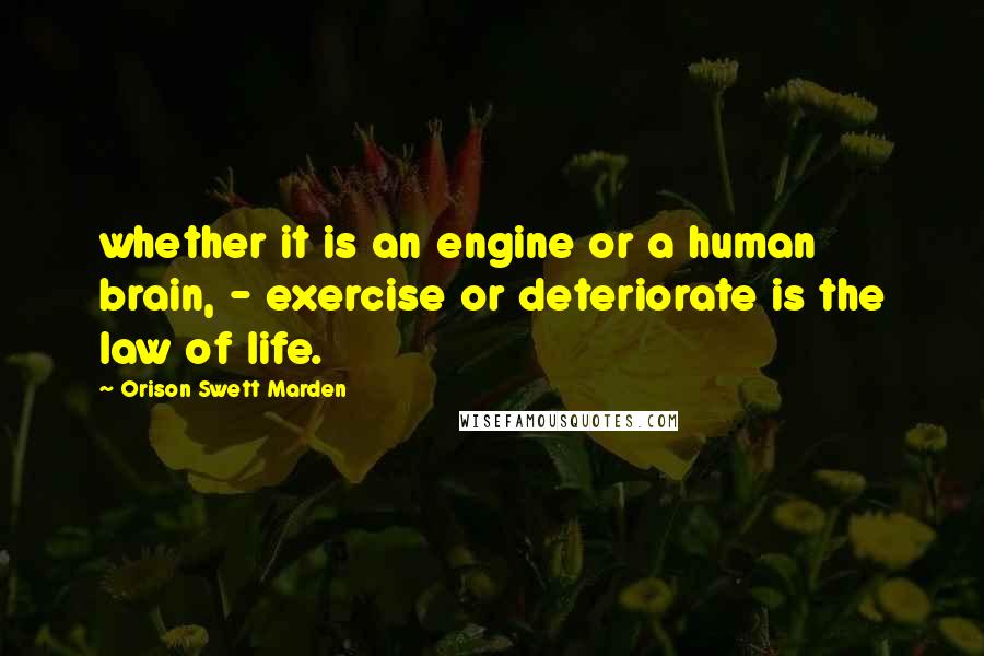 Orison Swett Marden Quotes: whether it is an engine or a human brain, - exercise or deteriorate is the law of life.