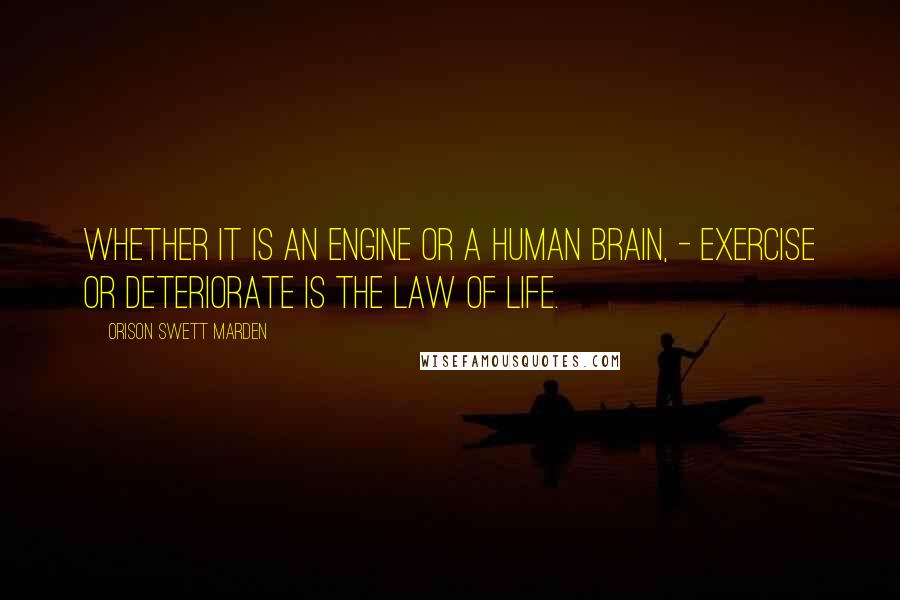 Orison Swett Marden Quotes: whether it is an engine or a human brain, - exercise or deteriorate is the law of life.