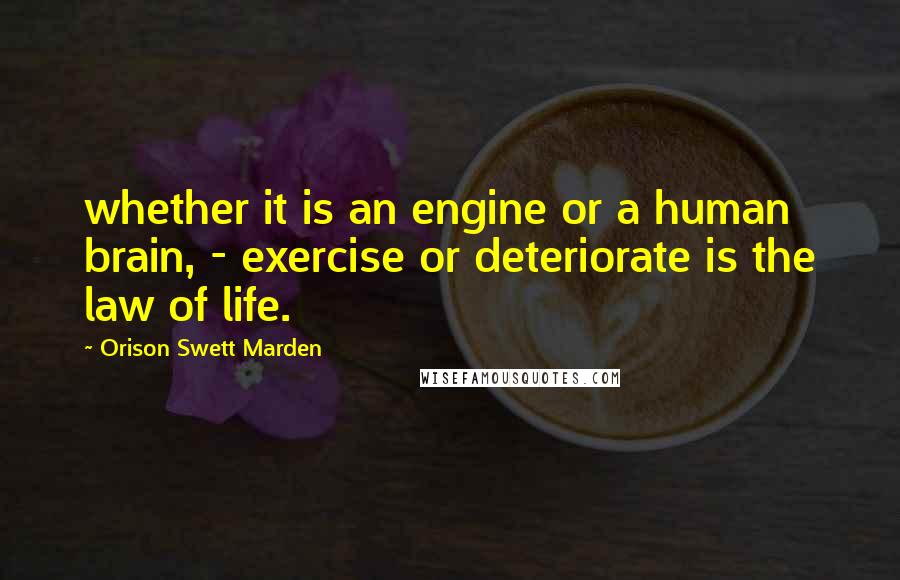 Orison Swett Marden Quotes: whether it is an engine or a human brain, - exercise or deteriorate is the law of life.