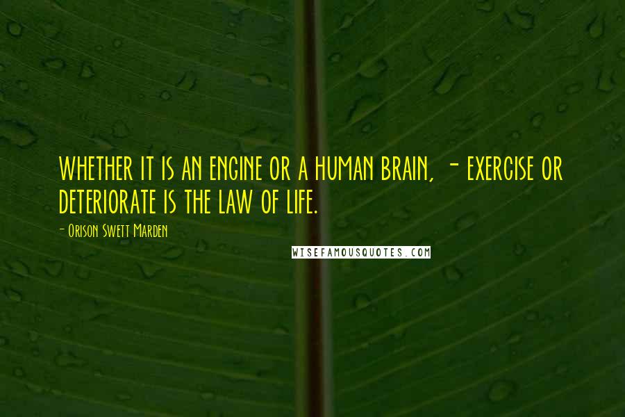 Orison Swett Marden Quotes: whether it is an engine or a human brain, - exercise or deteriorate is the law of life.