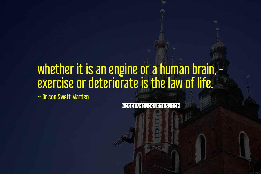 Orison Swett Marden Quotes: whether it is an engine or a human brain, - exercise or deteriorate is the law of life.