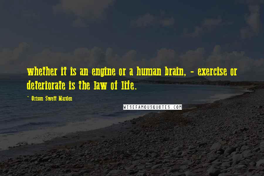 Orison Swett Marden Quotes: whether it is an engine or a human brain, - exercise or deteriorate is the law of life.