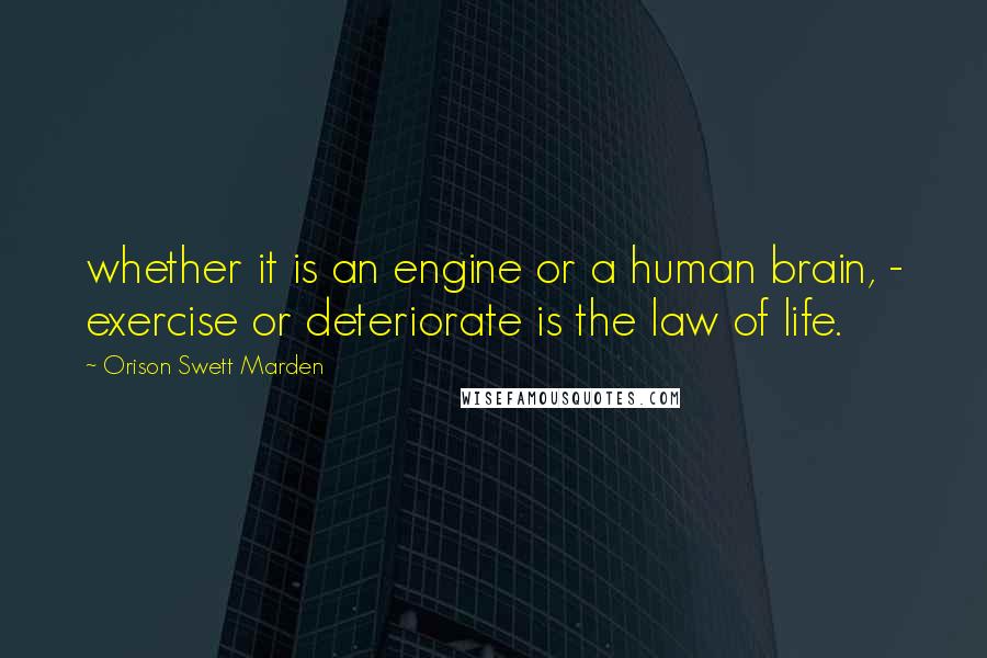 Orison Swett Marden Quotes: whether it is an engine or a human brain, - exercise or deteriorate is the law of life.