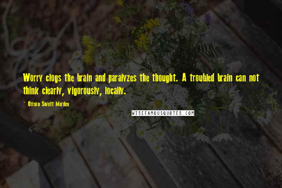 Orison Swett Marden Quotes: Worry clogs the brain and paralyzes the thought. A troubled brain can not think clearly, vigorously, locally.