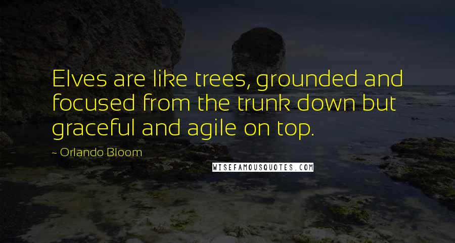 Orlando Bloom Quotes: Elves are like trees, grounded and focused from the trunk down but graceful and agile on top.