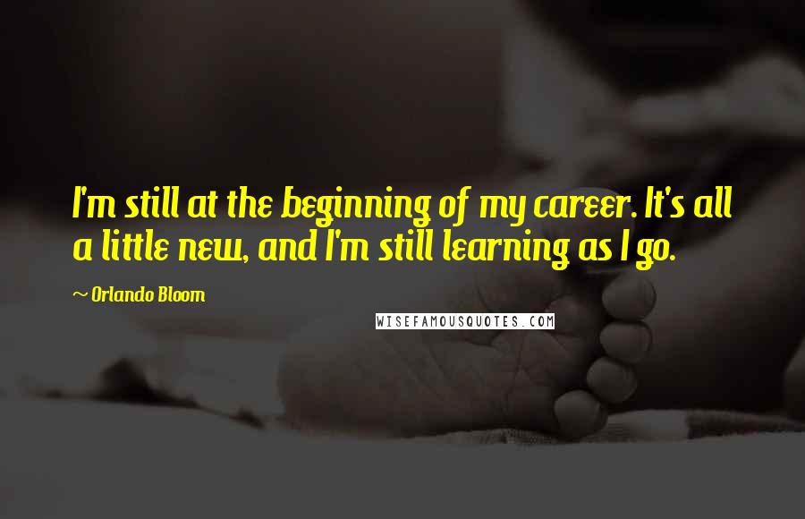 Orlando Bloom Quotes: I'm still at the beginning of my career. It's all a little new, and I'm still learning as I go.