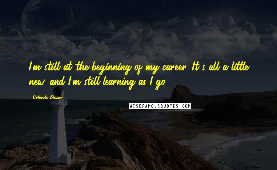 Orlando Bloom Quotes: I'm still at the beginning of my career. It's all a little new, and I'm still learning as I go.