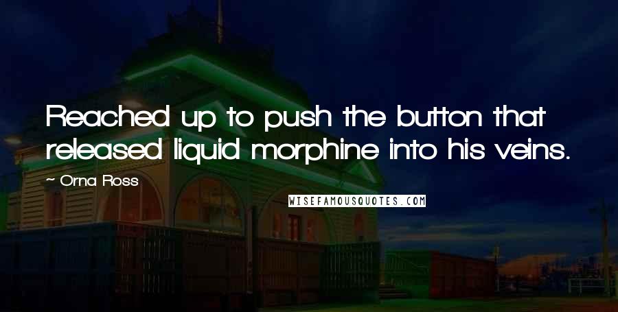 Orna Ross Quotes: Reached up to push the button that released liquid morphine into his veins.