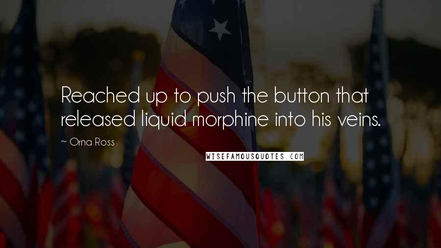 Orna Ross Quotes: Reached up to push the button that released liquid morphine into his veins.